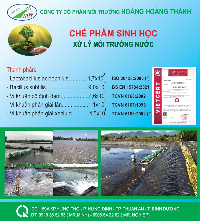 Chế Phẩm Sinh Học Xử Lý Nước 10L 1